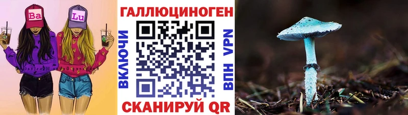 Псилоцибиновые грибы Psilocybe Дюртюли