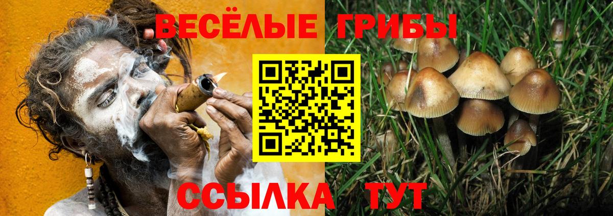 Каннабис  Дюртюли  ГАШИШ  Вход с VPN  NBOMe  Меф МЯУ МЯУ кристаллы  Гашиш 